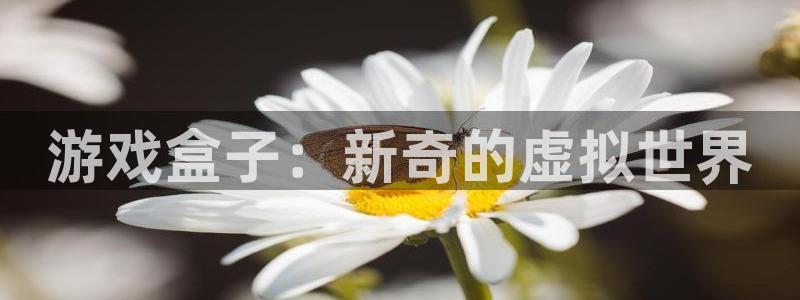 杏运体育