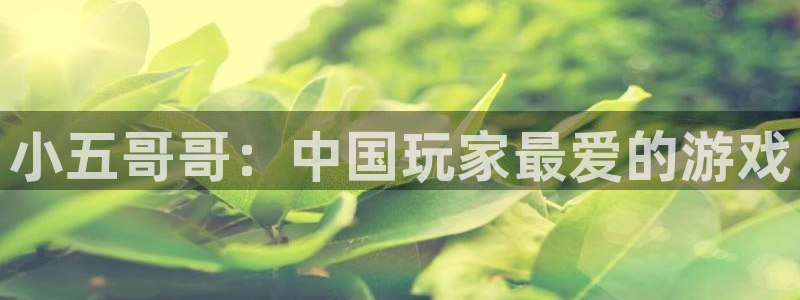 杏运娱乐