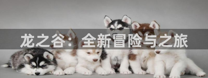 杏运连连：龙之谷：全新冒险与之旅