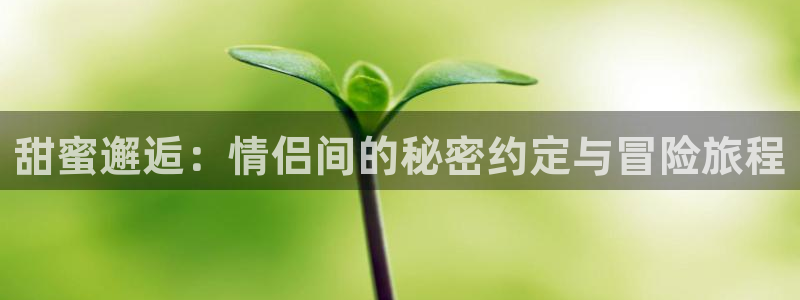 杏运：甜蜜邂逅：情侣间的秘密约定与冒险旅程
