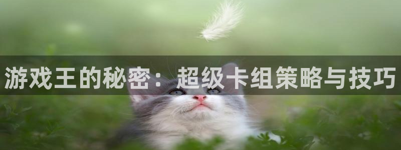 杏运体育app下载安装：游戏王的秘密：超级卡组策略与技巧