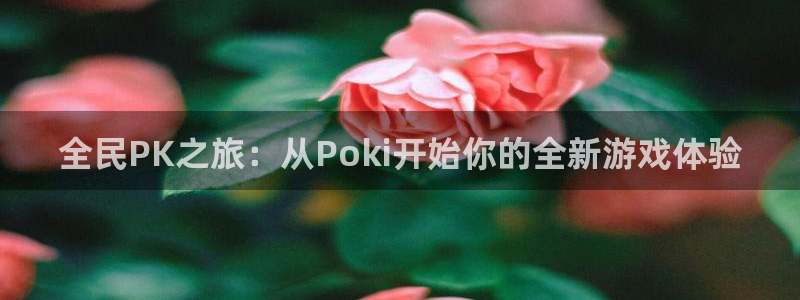 杏运体育app下载安装：全民PK之旅：从Poki开始你的全新