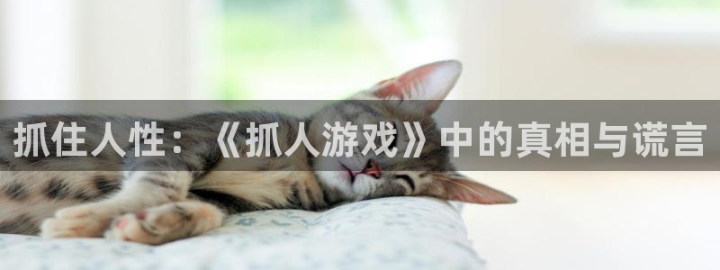 杏运注册平台：抓住人性：《抓人游戏》中的真相与谎言