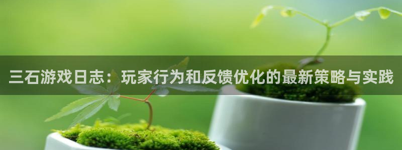 杏运注册平台：三石游戏日志：玩家行为和反馈优化的最新策略与实