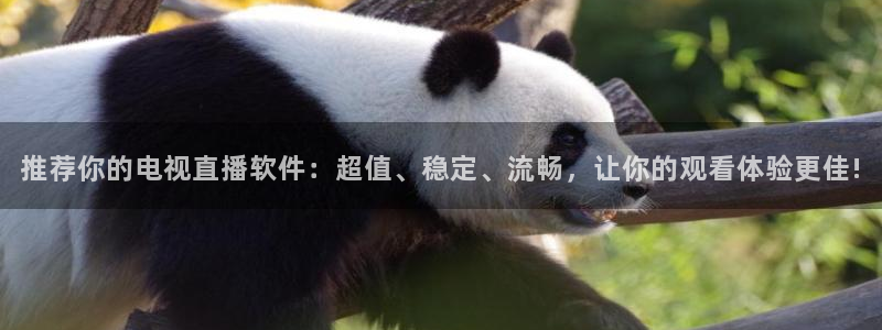 足球比赛直播24直播：推荐你的电视直播软件：超值、稳定、流畅，让你的观看体验更佳!