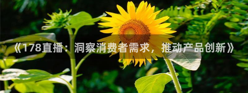 24直播网足球直播：《178直播：洞察消费者需求，推动产品创新》