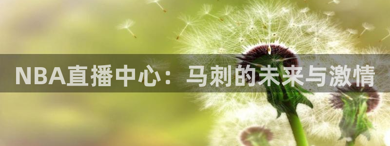 24直播网nba直播吧,足球直播五大联赛：NBA直播中心：马刺的未来与激情