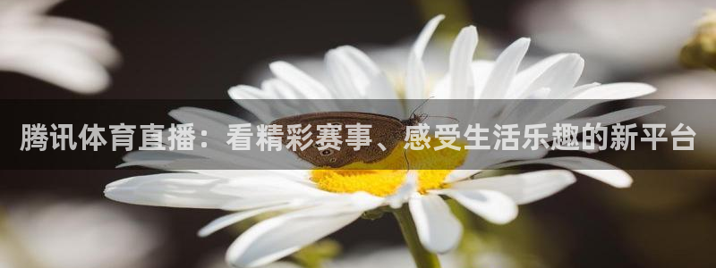 24直播免费篮球直播：腾讯体育直播：看精彩赛事、感受生活乐趣的新平台