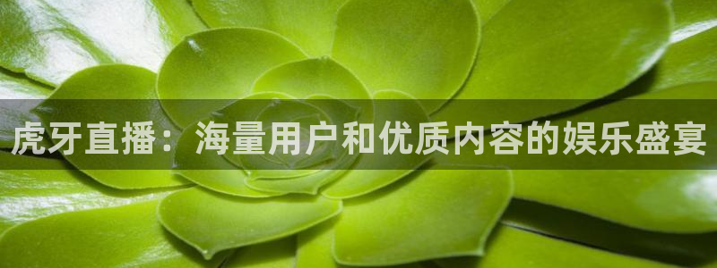 24直播网nba在线直播免费观看：虎牙直播：海量用户和优质内容的娱乐盛宴