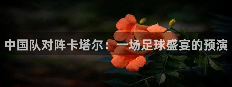 nba在线直播24直播：中国队对阵卡塔尔：一场足球盛宴的预演