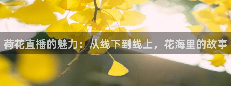足球直播24直播网在线：荷花直播的魅力：从线下到线上，花海里的故事