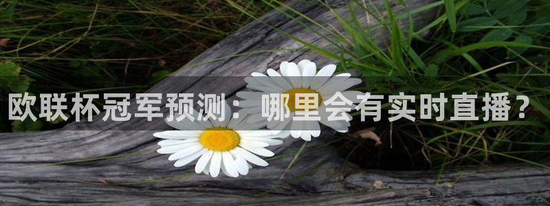 24直播网nba直播jrs：欧联杯冠军预测：哪里会有实时直播？