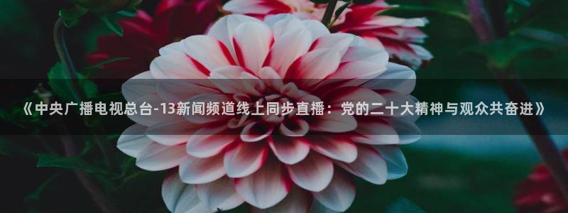 24直播体育免费直播app：《中央广播电视总台-13新闻频道线上同步直播：党的二十大精神与观众共奋进》